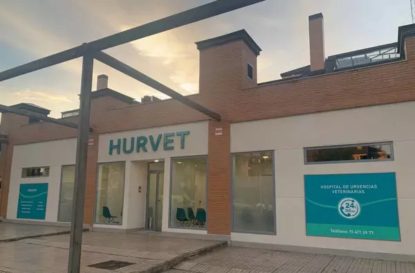 HURVET, el hospital veterinario de urgencias de Boadilla al que acudir si tu mascota necesita atención inmediata