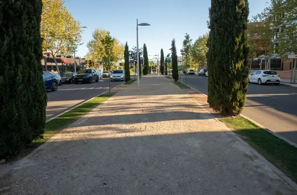 El Ayuntamiento ha plantado en esta temporada más de mil árboles en varias zonas del municipio