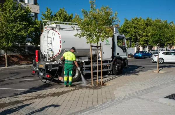 Boadilla refuerza el riego en verano para facilitar la supervivencia del arbolado joven