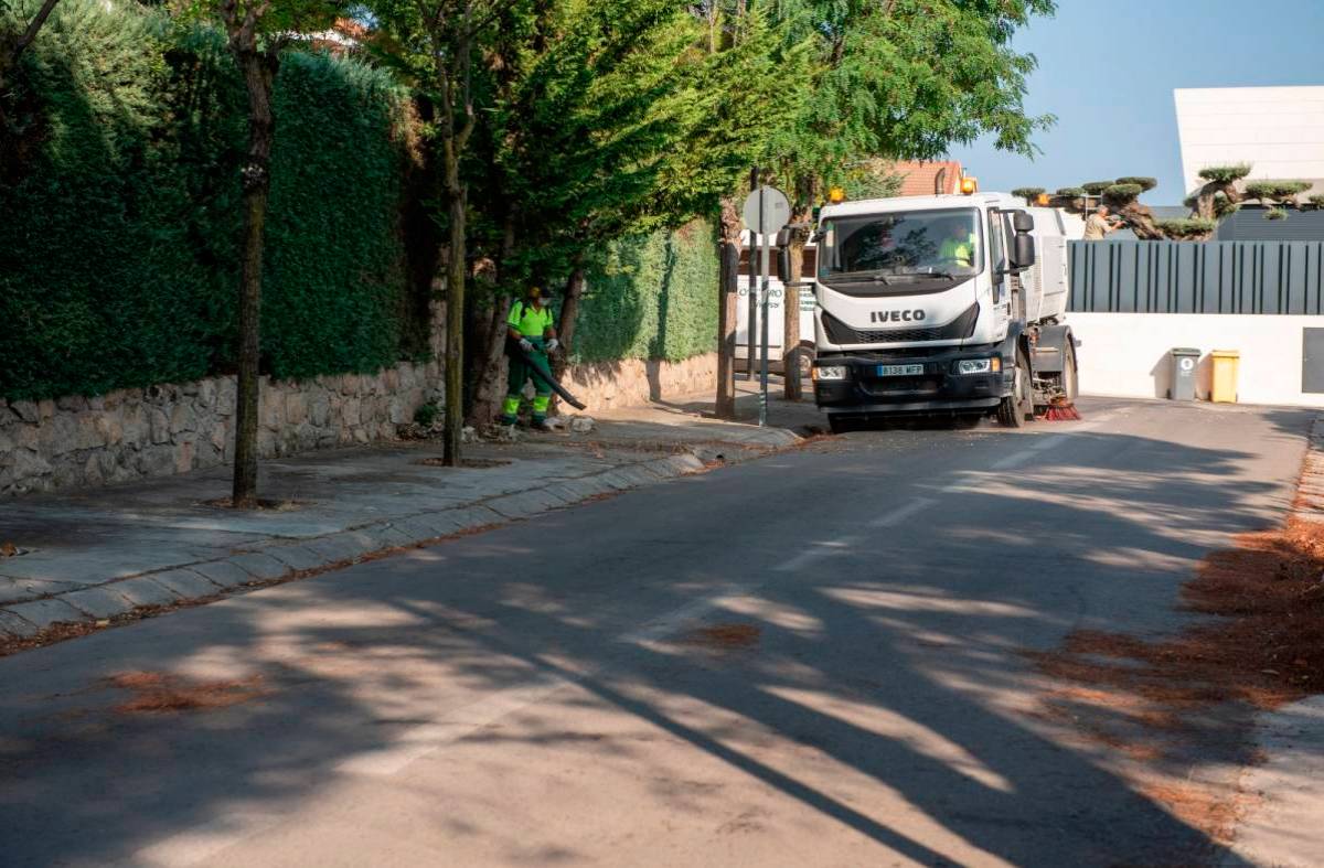 El Ayuntamiento refuerza el barrido de pinocha en las urbanizaciones históricas