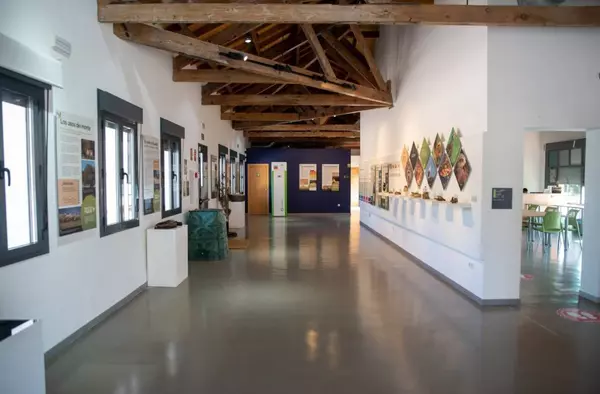 El Aula Medioambiental de Boadilla ofrecerá durante el curso dos actividades extraescolares