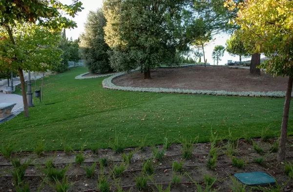 Finaliza la primera fase de mejora del entorno del Palacio del Infante D. Luis