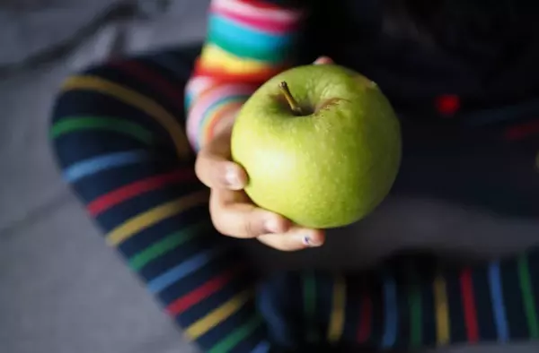 La Comunidad de Madrid repartirá frutas y hortalizas a escolares dos veces por semana para llevar a casa