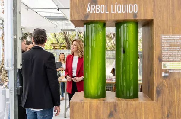 El PSOE propone la instalación de dos árboles liquidos en Boadilla del Monte