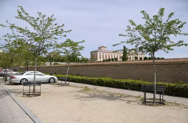 El arbolado ocupa el 30,8 % de la superficie de Boadilla, según un estudio del Politécnico di Torino y la UPM