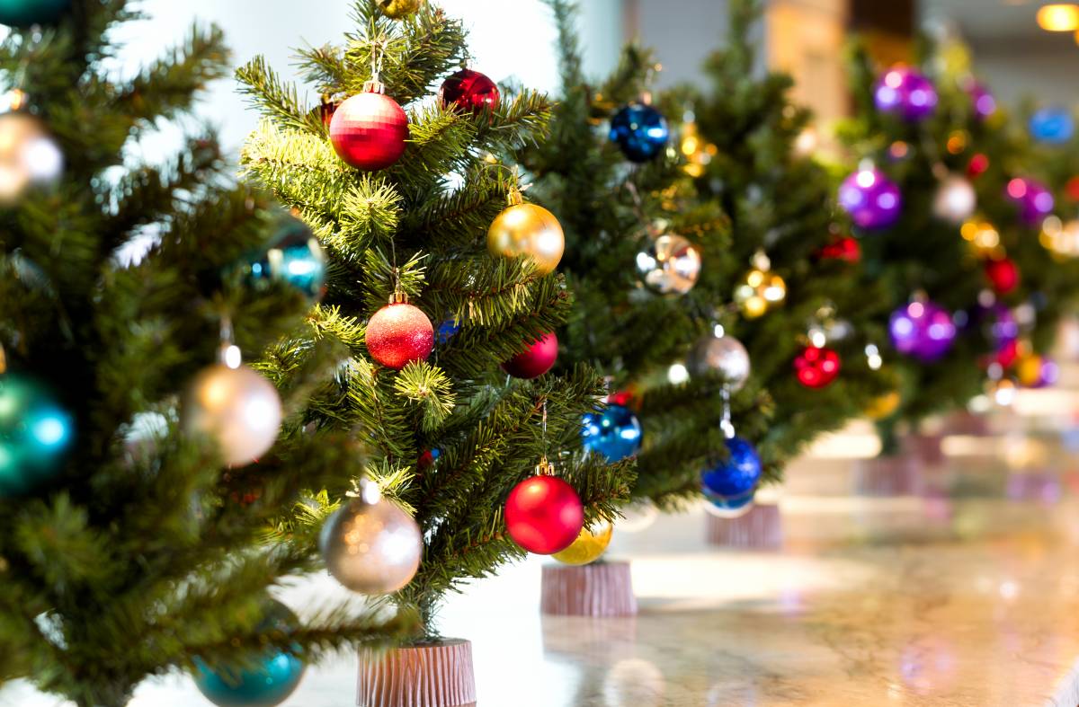 El Punto Limpio de Boadilla recoge árboles de Navidad para darles una segunda vida
