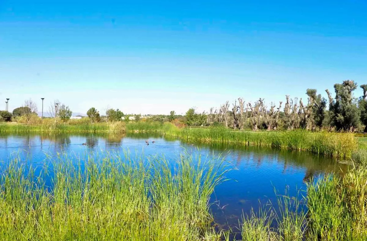 Rutas, talleres y actividades de voluntariado en el Aula Medioambiental de Boadilla durante marzo y abril