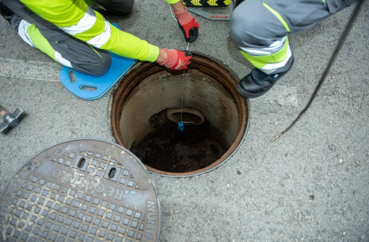 Boadilla continúa la campaña de control de roedores e insectos y ofrece recomendaciones para evitar plagas en las viviendas