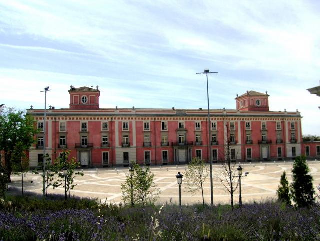 UPyD Boadilla con el Palacio