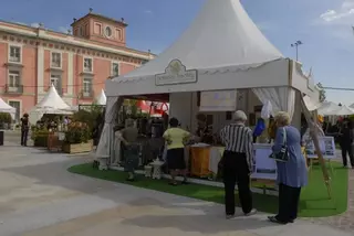 Arranca la I Feria Botánica insólita de Boadilla del Monte