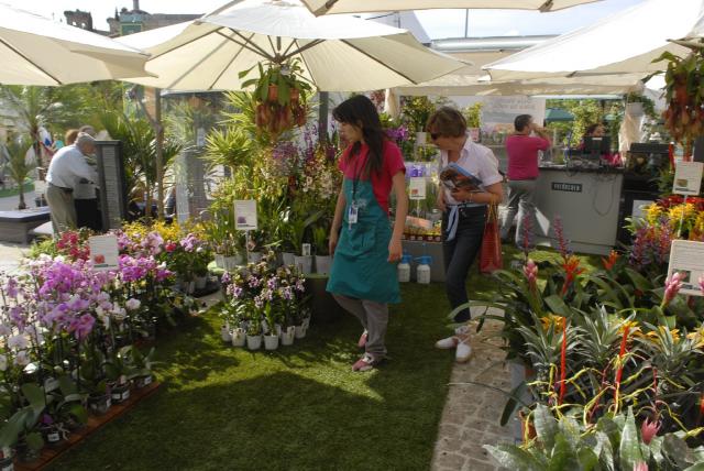 Más de 50.000 visitantes acuden a la I Feria Botánica Insólita de Boadilla del Monte