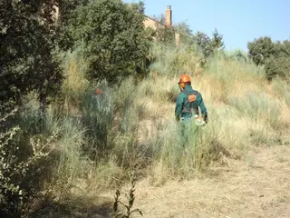 La leña de poda y desbroce del monte a disposición de los vecinos de manera gratuita