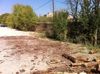 El Partido Socialista reclama más control en la entrega de leña  del  monte de Boadilla