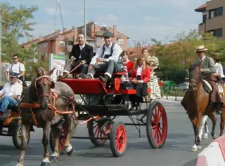 Vuelve la Fiesta del Caballo a Boadilla del Monte