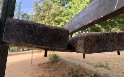 Mejora de Zona Canina Parque del Zoco