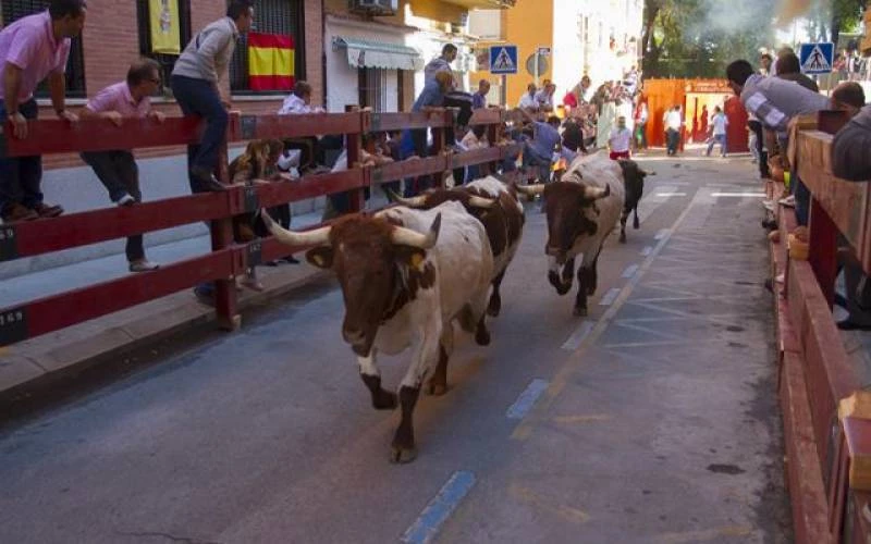 Encierros en fiestas?