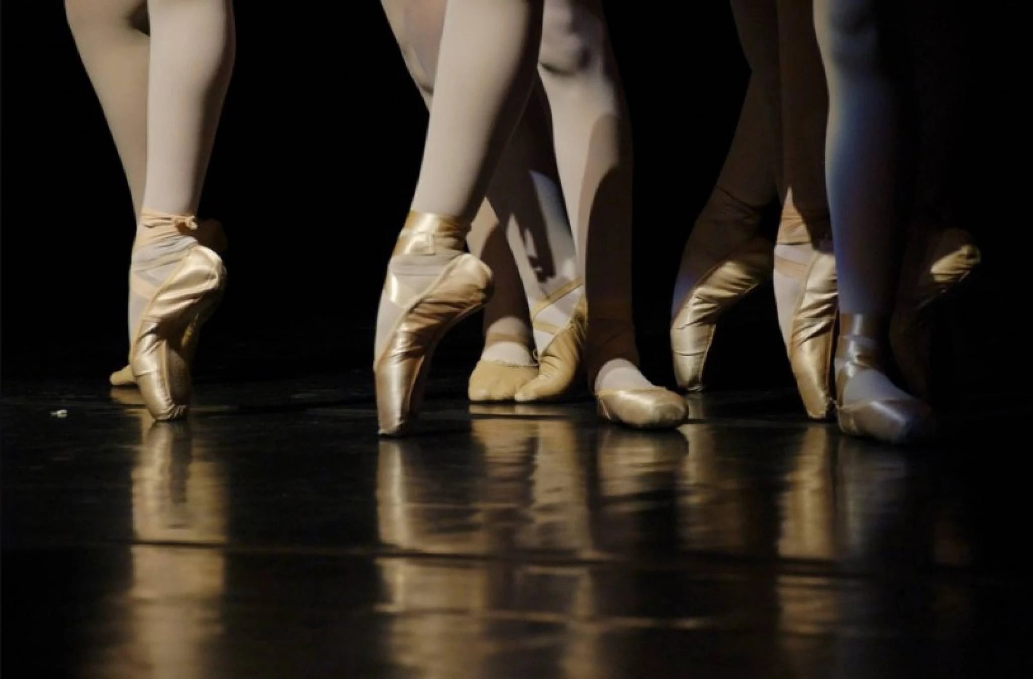 Se busca profesora de ballet