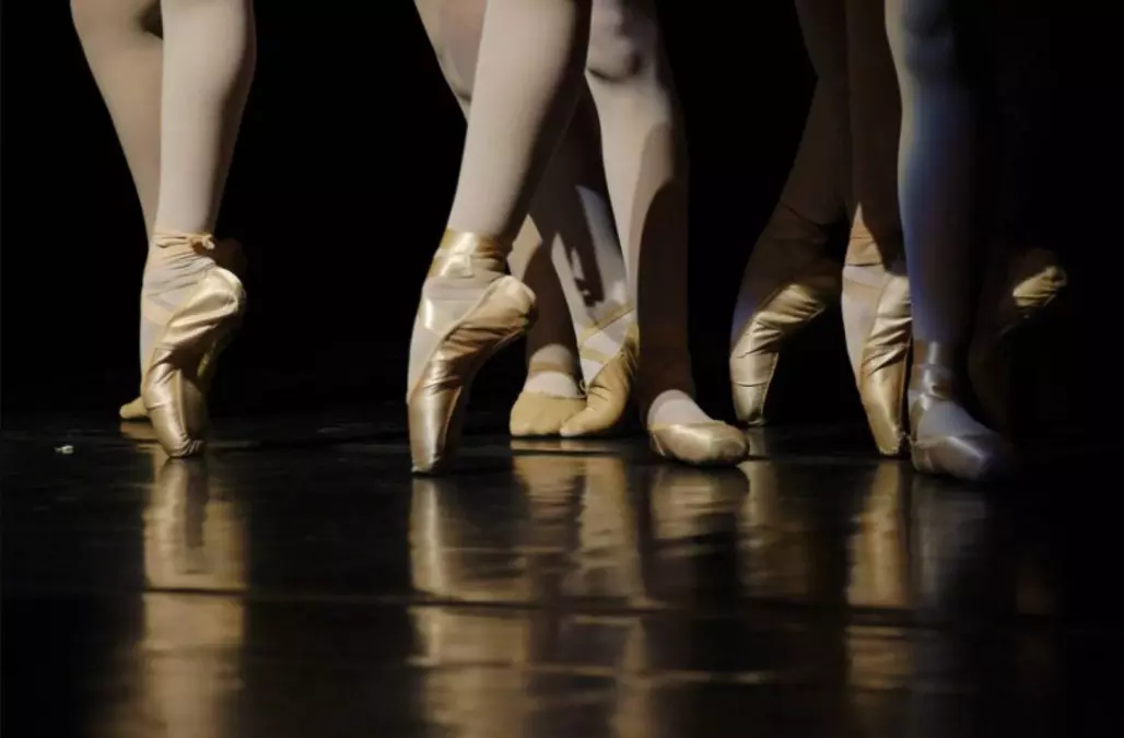 Se busca profesora de ballet