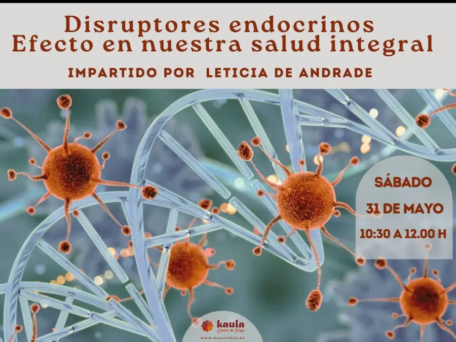 Charla sobre Disruptores Endocrinos. ¡Aprende a identificarlos!