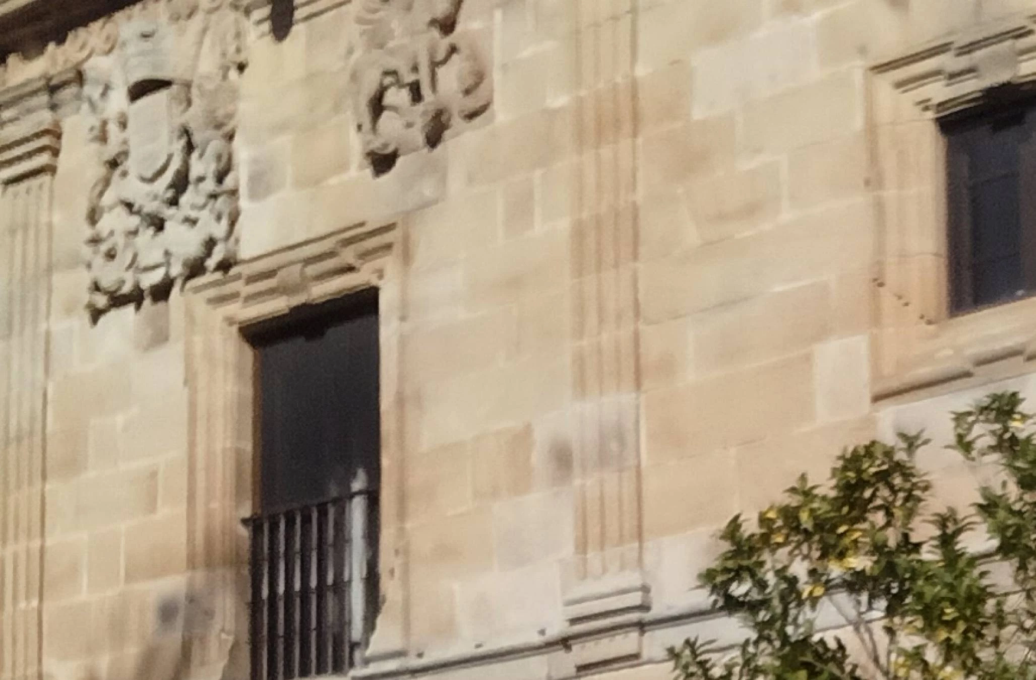 Profesora particular lengua y literatura ESO y Bachillerato