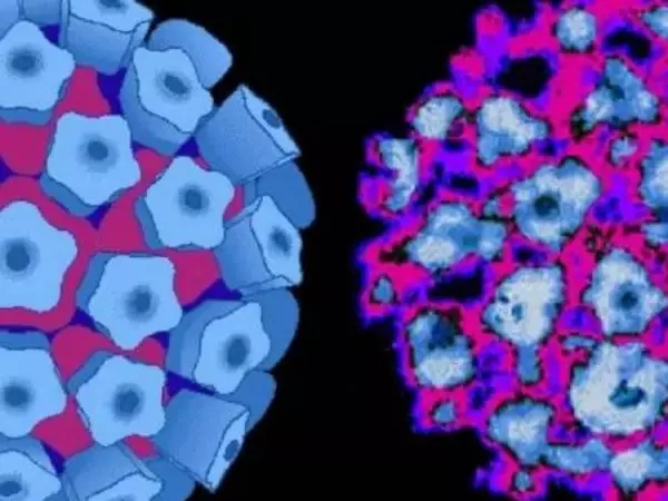 Grupo: Afectados por el Virus del Papiloma Humano