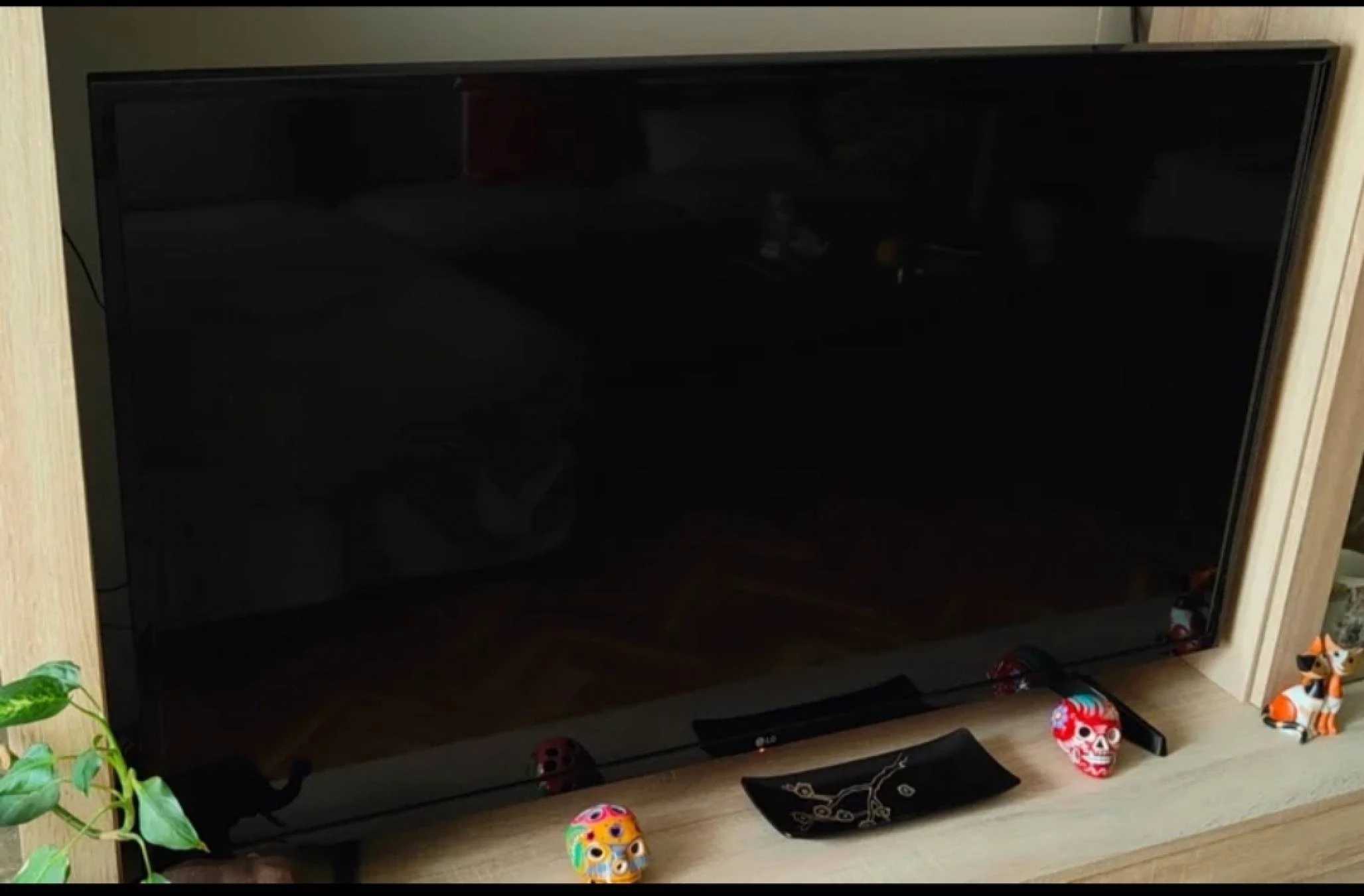 Television LG 49