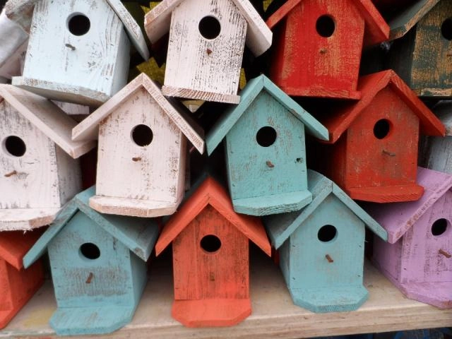 Voluntariado Ambiental: Comederos y cajas nido