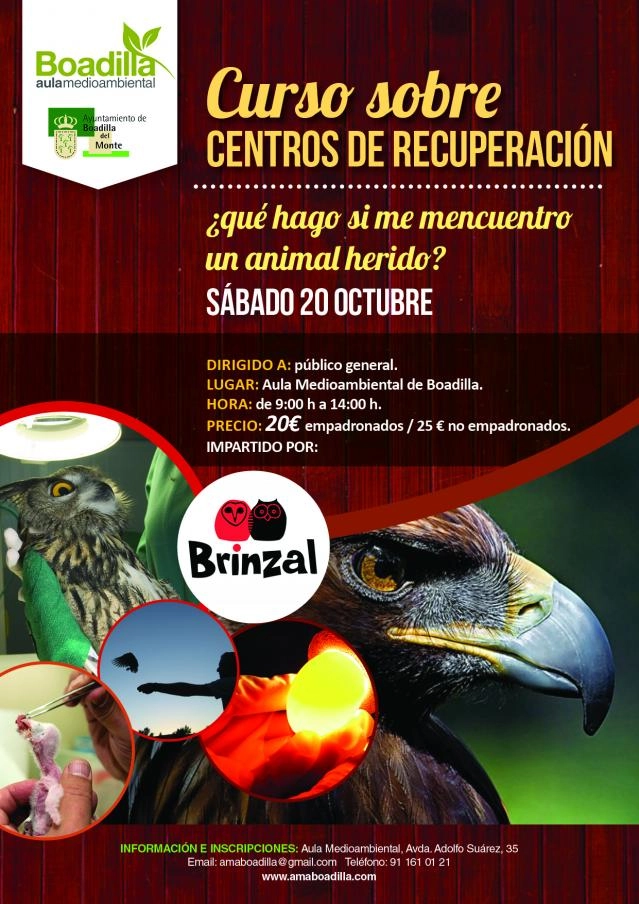 Curso: ¿Qué hago si me encuentro un animal herido?