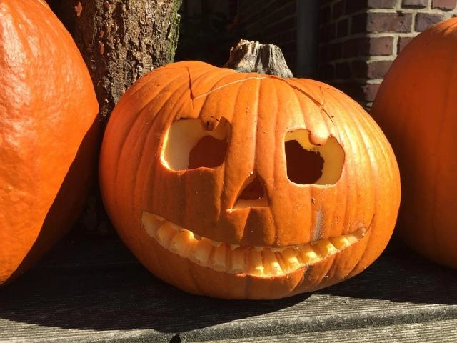 Taller de decoración de calabazas