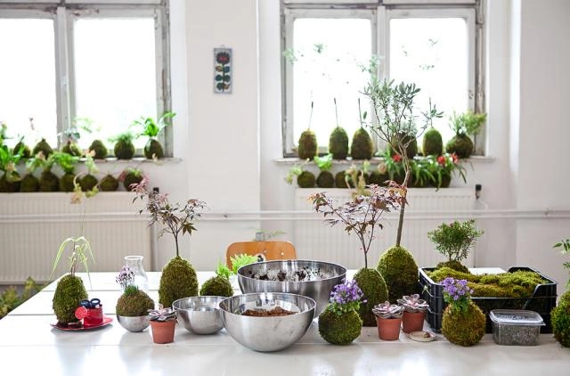 Curso: Técnicas de jardinería japonesa: Kokedamas