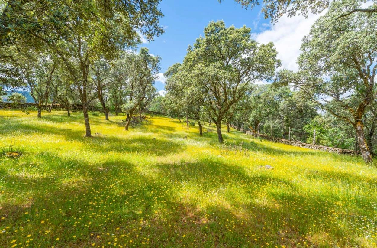¡¡¡PRECIOSA FINCA DE RECREO ALREDORES DE GREDOS!!!