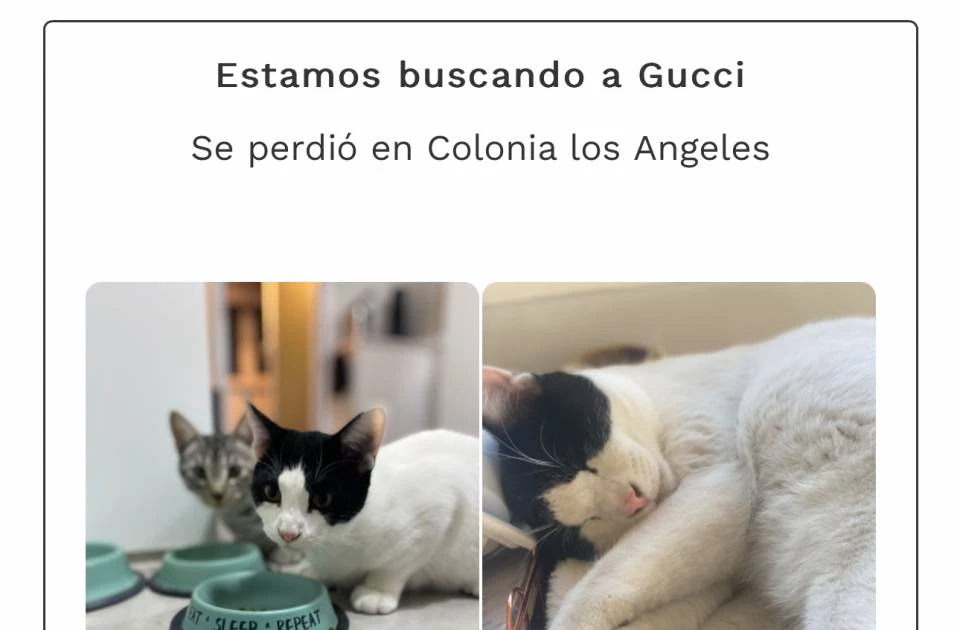 Busco trabajo Servicio Domestico 