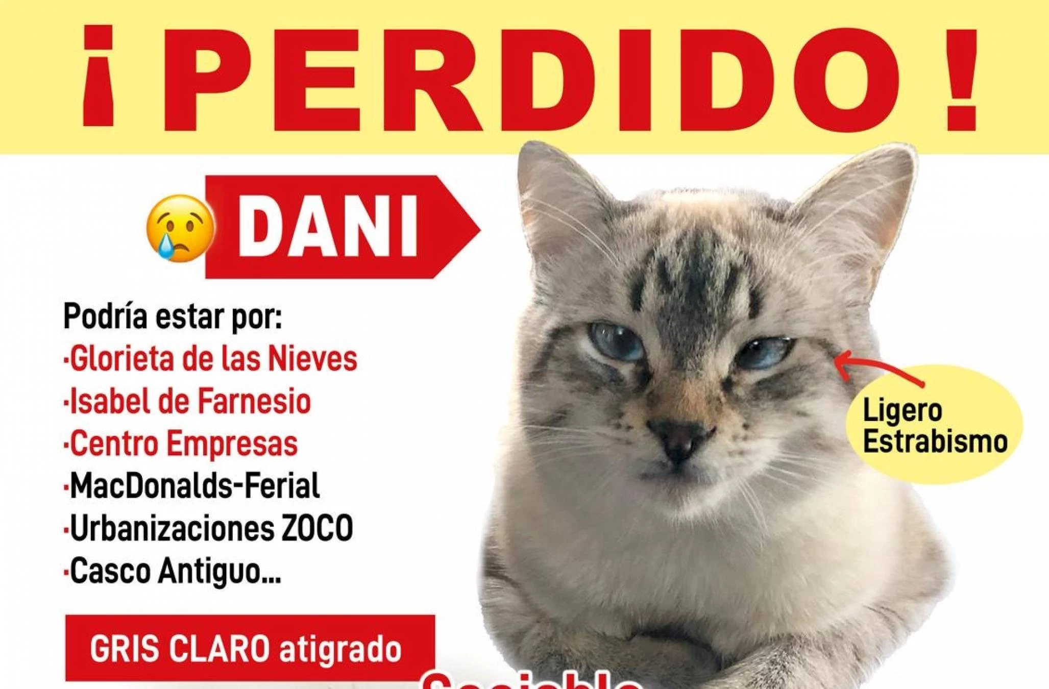 DANI PERDIDO en Boadilla