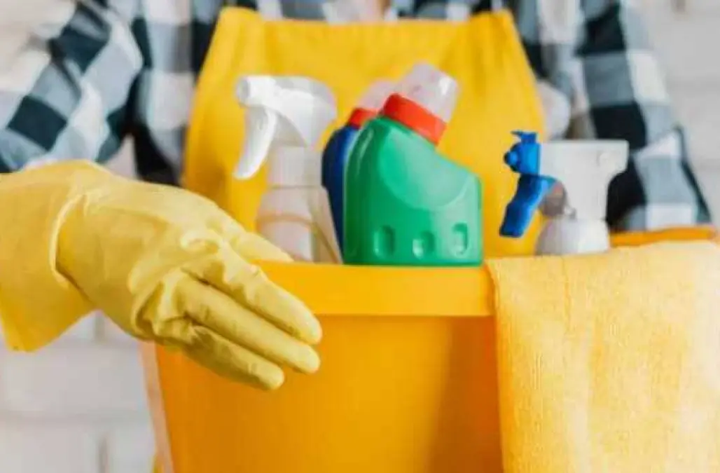 Servicios Profesionales de Limpieza y Tareas Domésticas